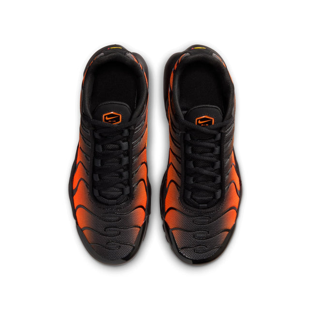 Y Nike Air Max Plus CD0609-041