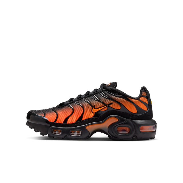 Y Nike Air Max Plus CD0609-041