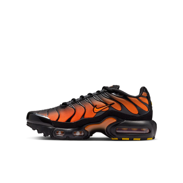 Y Nike Air Max Plus CD0609-041