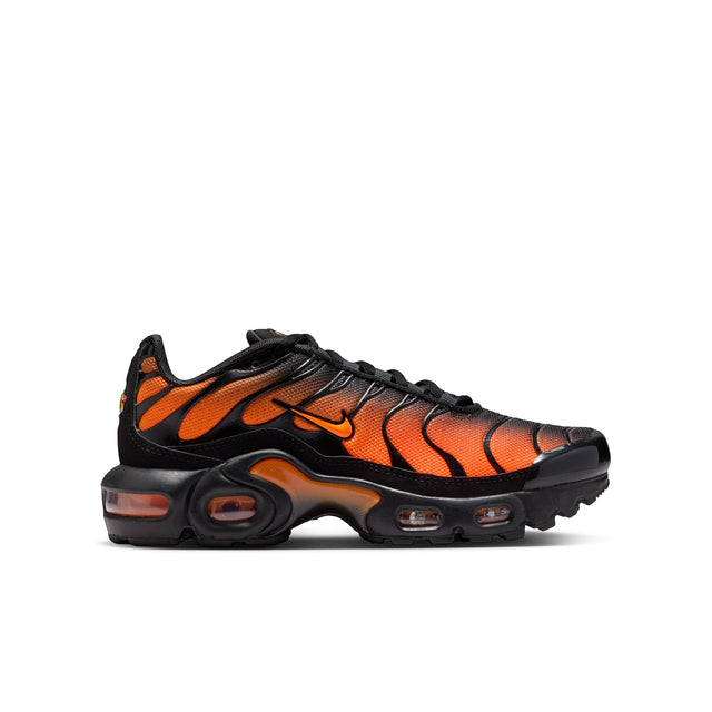 Y Nike Air Max Plus CD0609-041