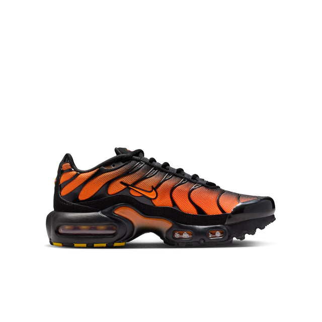 Y Nike Air Max Plus CD0609-041
