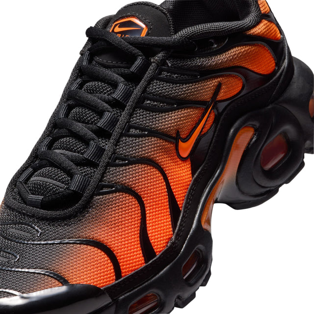 Y Nike Air Max Plus CD0609-041