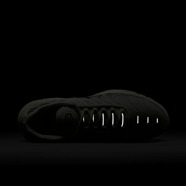 M Nike Air Max Plus DM0032-106