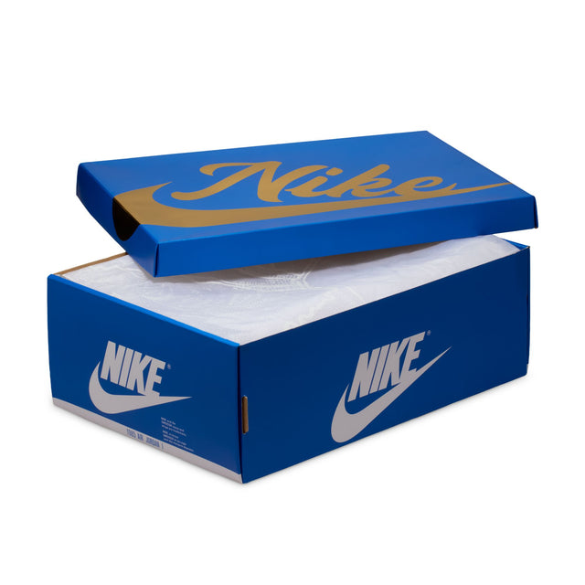 M Air Jordan 1 Retro High OG DZ5485-003