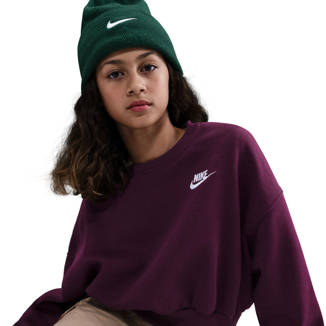 Y Nike Sportswear Club Fleece FZ9244-610