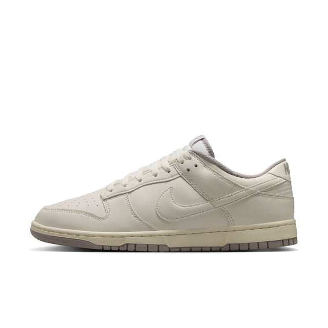 M Nike Dunk Low Retro HF5441-010