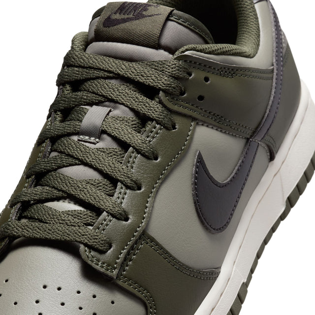 M Nike Dunk Low Retro HF5441-300