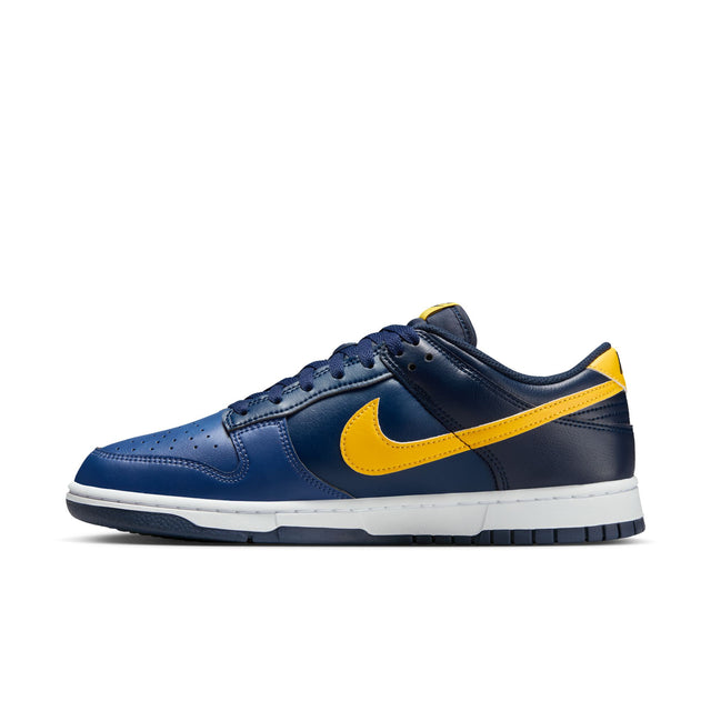 M Nike Dunk Low Retro HF5441-403
