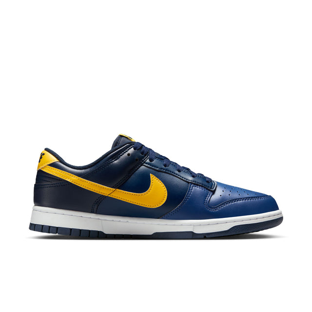 M Nike Dunk Low Retro HF5441-403