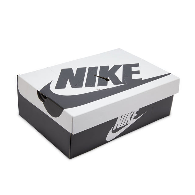 M Nike Dunk Low Retro SE HQ1965-100