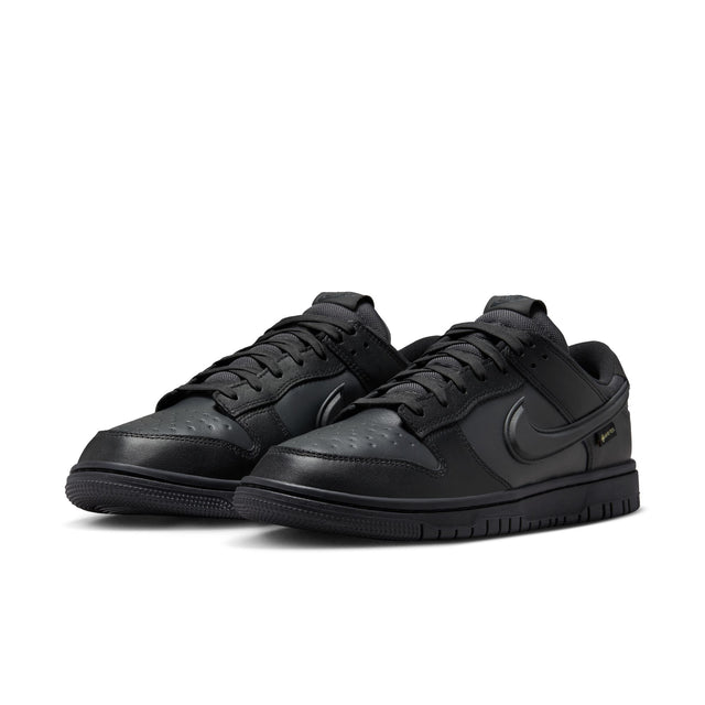 M Nike Dunk Low GORE-TEX HQ2053-001