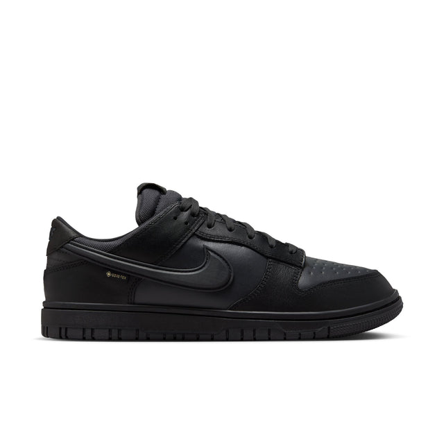 M Nike Dunk Low GORE-TEX HQ2053-001