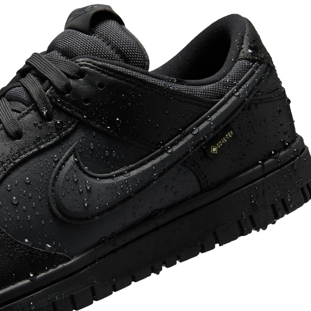 M Nike Dunk Low GORE-TEX HQ2053-001