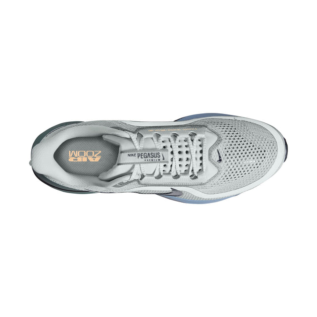 M Nike Pegasus Premium HQ2592-017