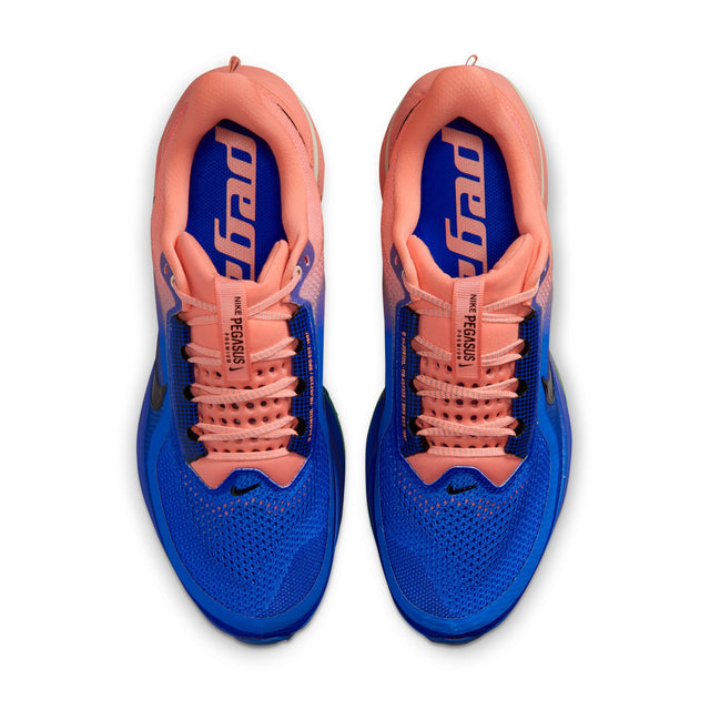 M Nike Pegasus Premium HQ2592-401