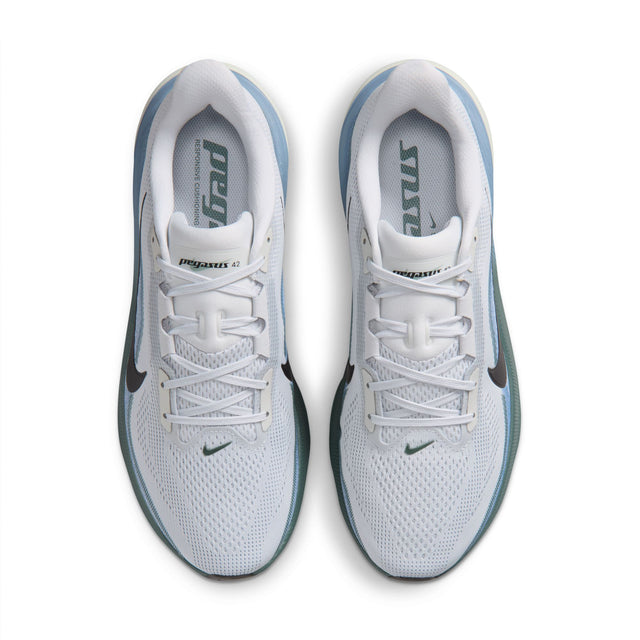 M Nike Pegasus 42 IB1873-005