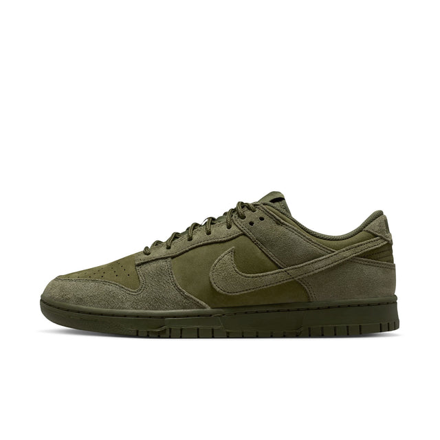 M Nike Dunk Low Retro SE IB6651-300