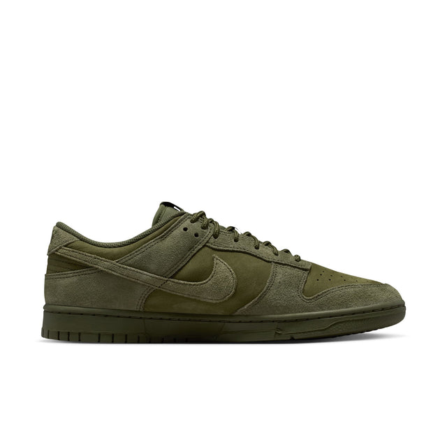 M Nike Dunk Low Retro SE IB6651-300