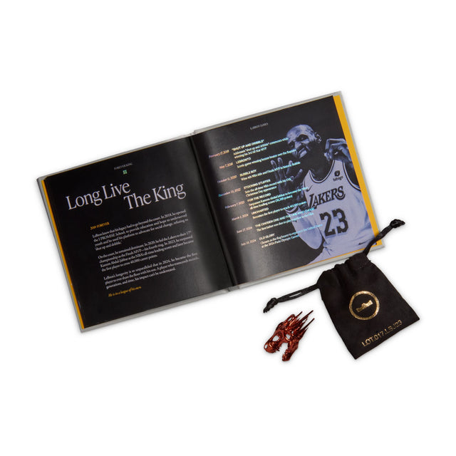 M LeBron XXIII "LeBronto" IH1513-602