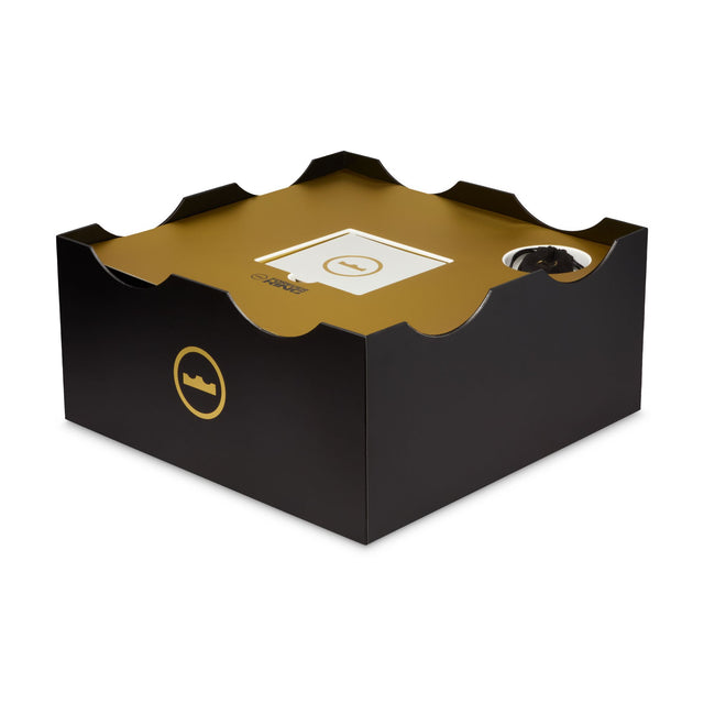 M LeBron XXIII "Honor Society" IH1513-701