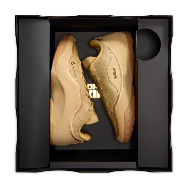 M LeBron XXIII "Honor Society" IH1513-701