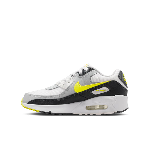 Y Nike Air Max 90 IQ0098-100