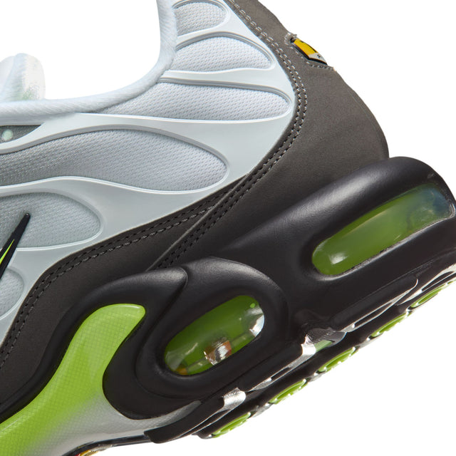 M Nike Air Max Plus IQ0288-100