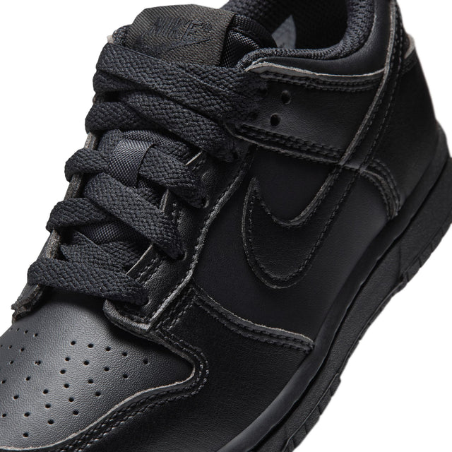 Y Nike Dunk Low IU7765-009