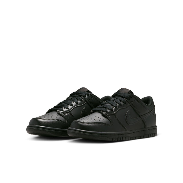 Y Nike Dunk Low IU7766-009