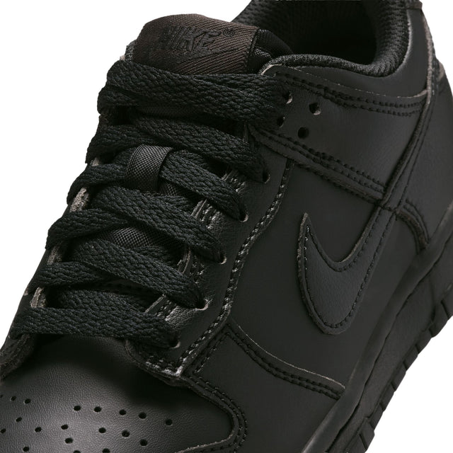 Y Nike Dunk Low IU7766-009