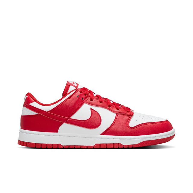 Buy NIKE Nike Dunk Low Next Nature DD1873-116 Canada Online