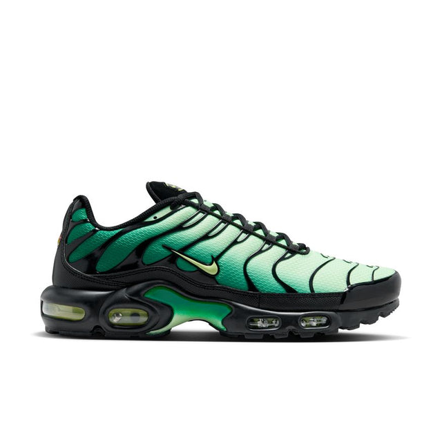 Buy NIKE Nike Air Max Plus DM0032-301 Canada Online
