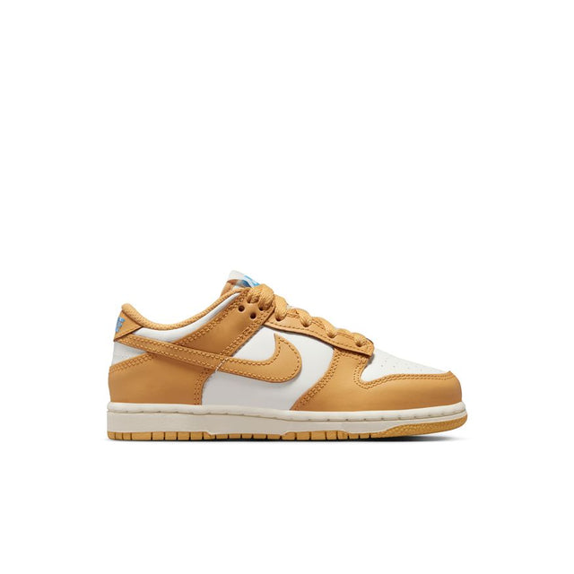 Buy NIKE Nike Dunk Low FB9108-700 Canada Online