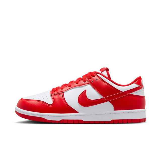 Buy NIKE Nike Dunk Low Retro HF5441-104 Canada Online