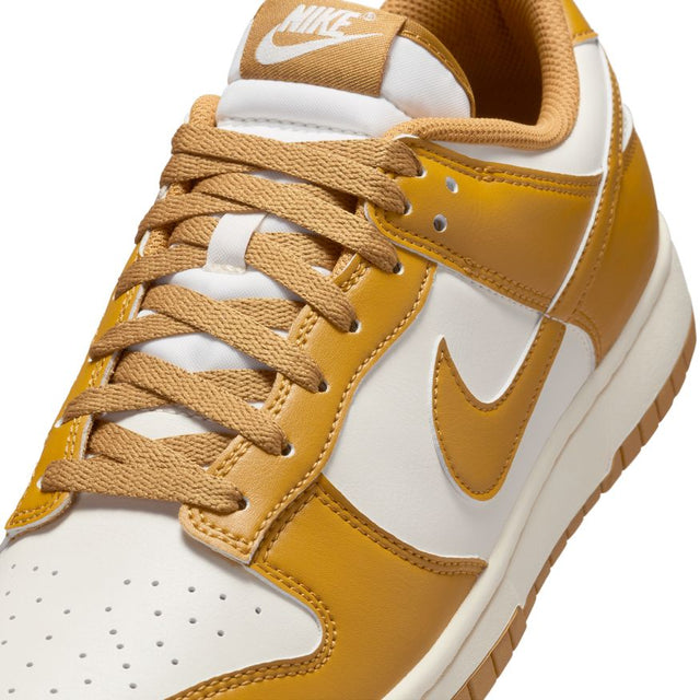 Buy NIKE Nike Dunk Low Retro HF5441-108 Canada Online