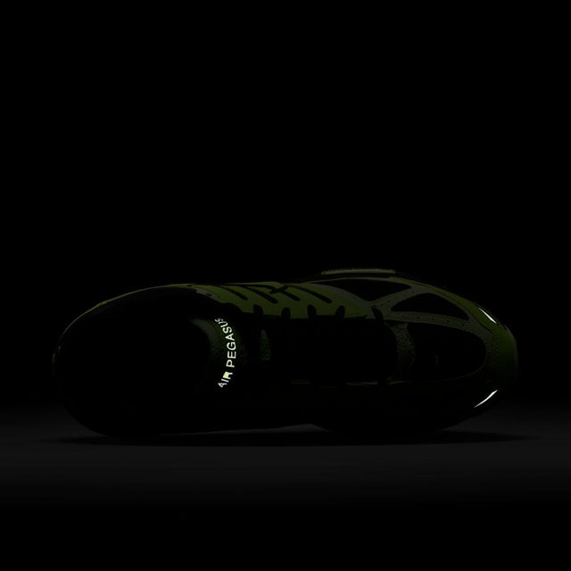 Buy NIKE Nike Air Pegasus 2005 HQ5403-700 Canada Online