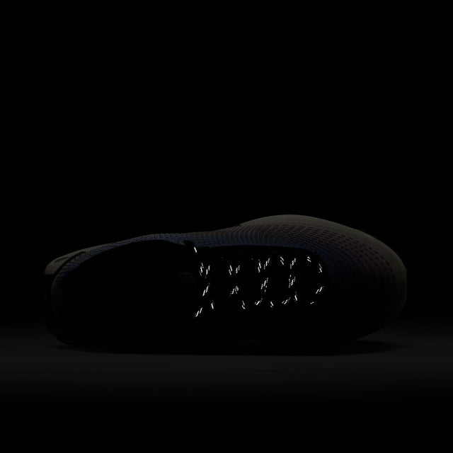 Buy NIKE Nike Air Max Dn Premium HV5760-675 Canada Online