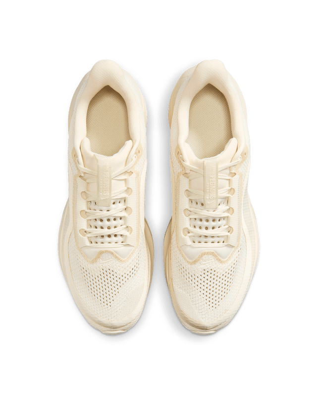 Nike Pegasus Premium IQ5691-100