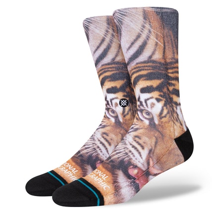 NATIONAL GEOGRAPHIC TWO TIGERS CREW SOCKS A555A22TWO