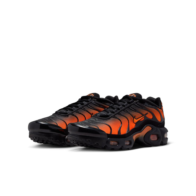 Y Nike Air Max Plus CD0609-041