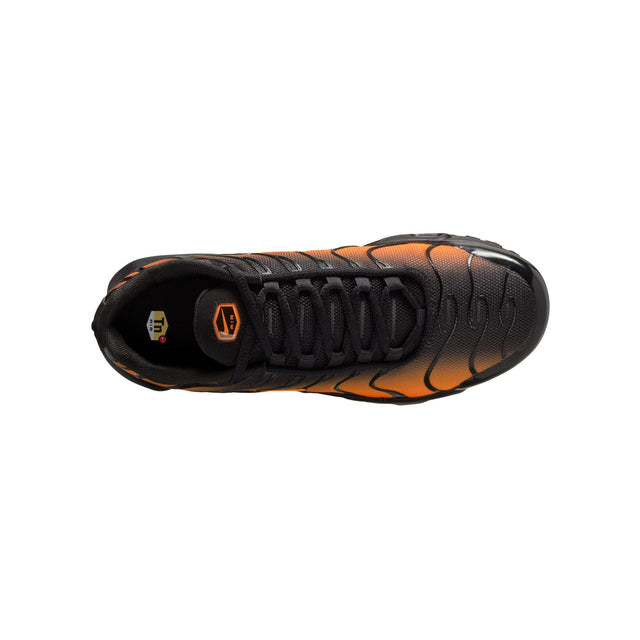 Y Nike Air Max Plus CD0609-041
