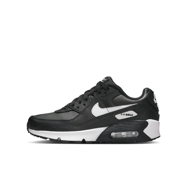 Y Nike Air Max 90 LTR CD6864-029