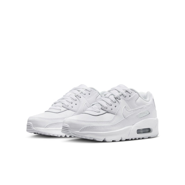 Y Nike Air Max 90 LTR CD6864-133
