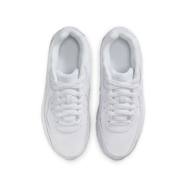 Y Nike Air Max 90 LTR CD6864-133