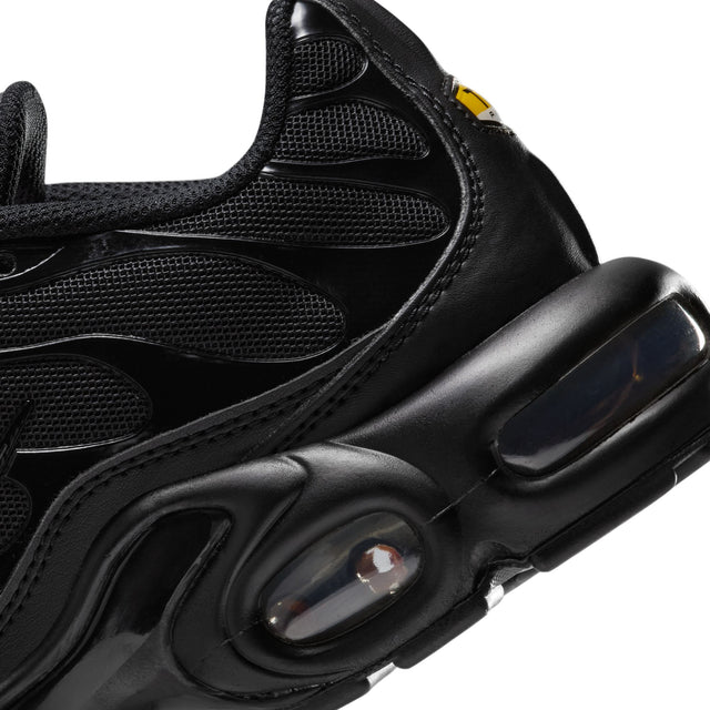 W Nike Air Max Plus DM2362-002