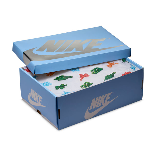 W Air Jordan 1 Retro High OG FD2596-102