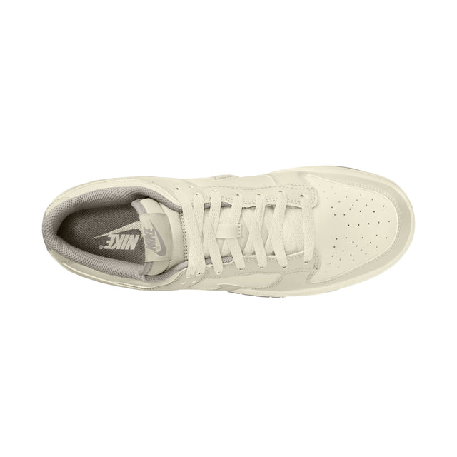 M Nike Dunk Low Retro HF5441-010