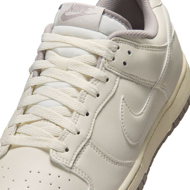 M Nike Dunk Low Retro HF5441-010