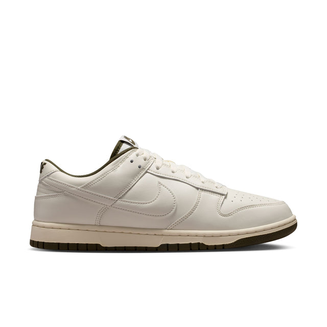 M Nike Dunk Low Retro HF5441-011