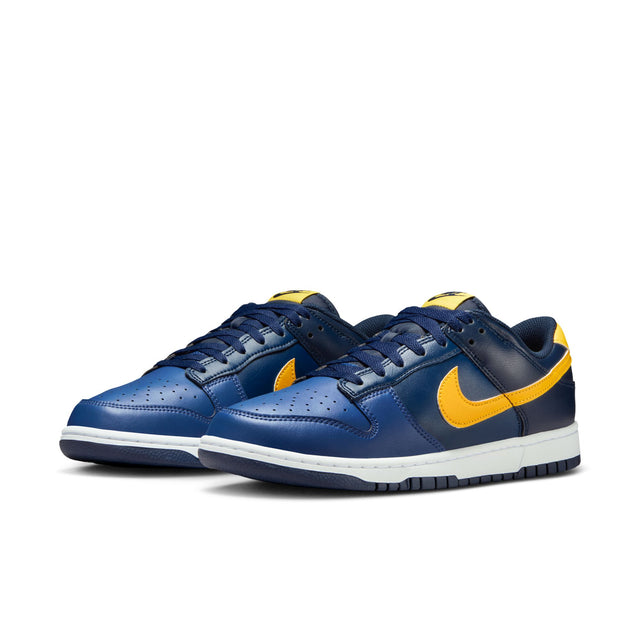 M Nike Dunk Low Retro HF5441-403